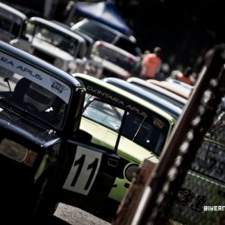 dzintara volga-4889